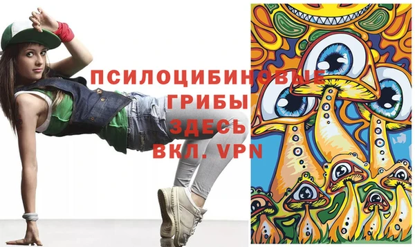 меф Коряжма