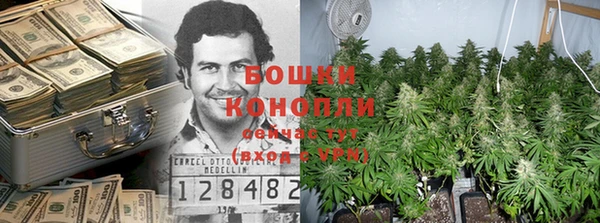 гидра Киренск