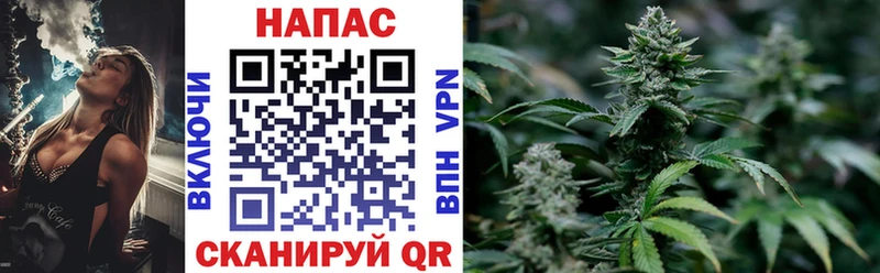 Шишки марихуана тримм  Красавино 